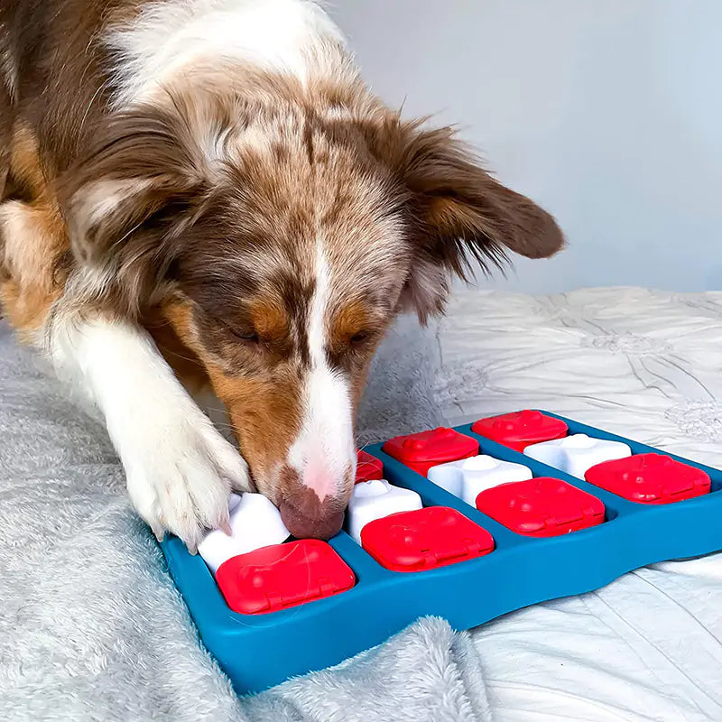 Pet Treasure Treat Training Box