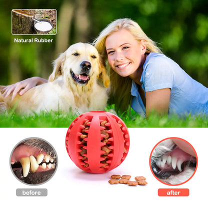 Rubber Treat Balls Pet Toys