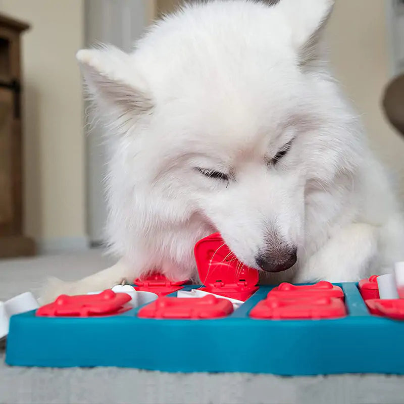 Pet Treasure Treat Training Box